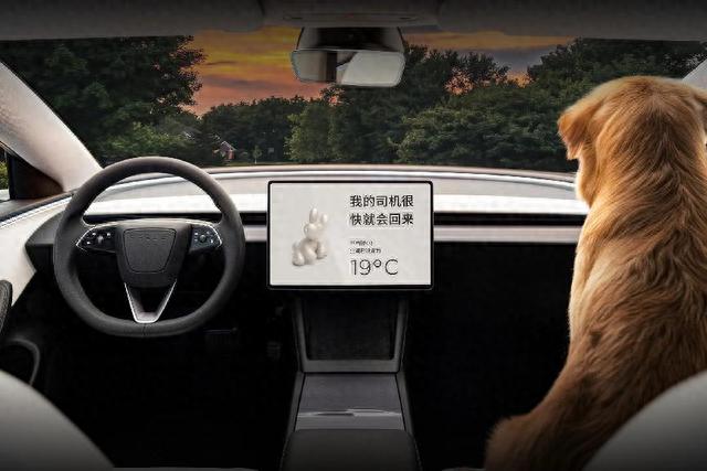 新款特斯拉Model 3上涨3万元，全新内饰，你会买单吗？