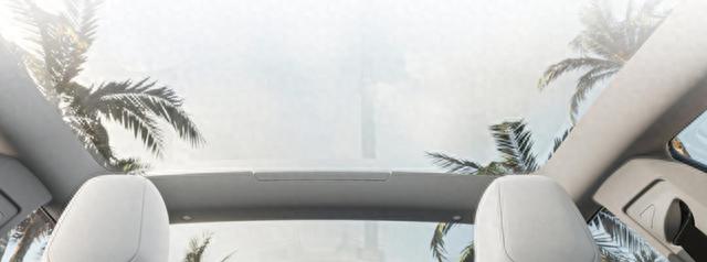 「特斯拉」一觉醒来，该发生的不该发生的都发生了，Tesla
