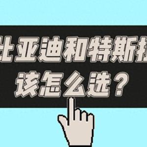 品牌、产品线、优缺点全解析，比亚迪特斯拉谁更值得买？