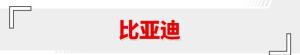 利润同比增长204%！多品牌半年财报出炉 比亚迪是真有实力！