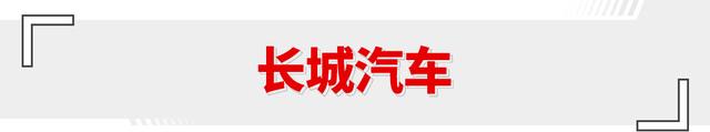 利润同比增长204%！多品牌半年财报出炉 比亚迪是真有实力！