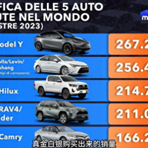 特斯拉Model Y销量近一年排名第一，遥遥领先#特斯拉modely