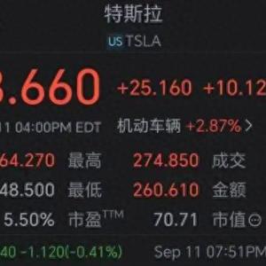 特斯拉暴涨逾10%