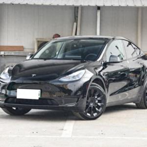 Model Y价格反复横跳，销量时高时低，能否顶住比亚迪的冲击？ ...