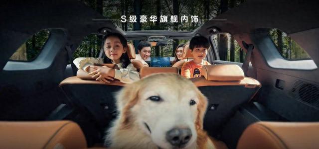 热门中型SUV的对决，领克08和比亚迪唐DM-i 冠军版你会选谁？