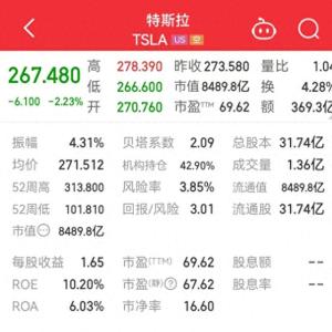 特斯拉一夜蒸发1474亿，“超级大饼”就香了一天？