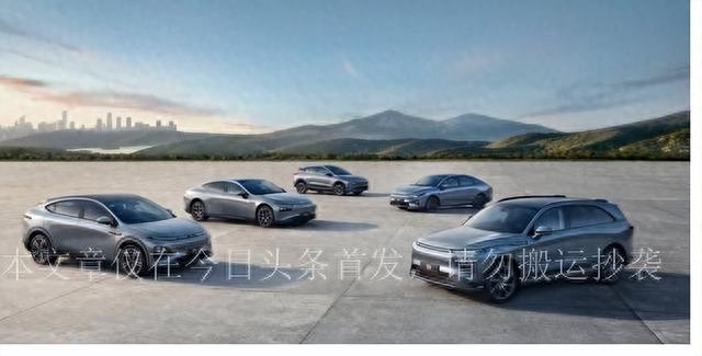 25万内最狠电车，Model Y惊呆？