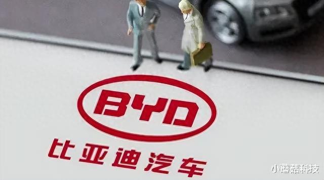 慌了！比亚迪再被欧盟拆解，75%零部件自产？