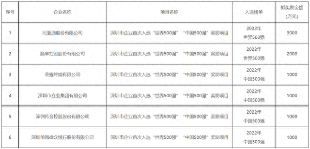 比亚迪等6家企业拟获9000万元奖励，首次入选500强 | 名单