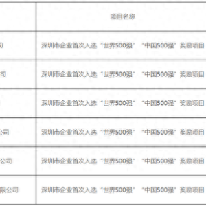比亚迪等6家企业拟获9000万元奖励，首次入选500强 | 名单