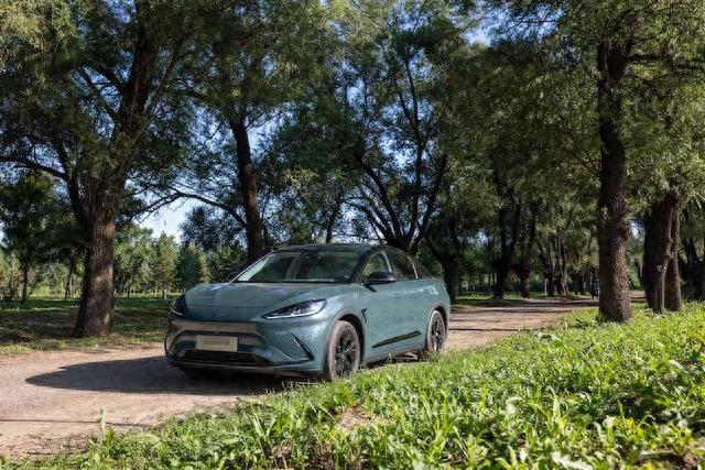 20万级电动SUV对比，阿尔法T森林版硬刚Model Y