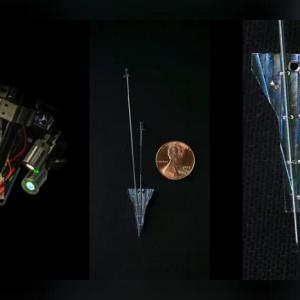 马斯克「神经连结」脑植芯片人体试验获准 预估6年完成